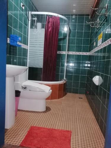 a green tiled bathroom with a toilet and a shower at Sang Yoo Mountain View Tagaytay Bed and Breakfast - Taal Lake View in Tagaytay