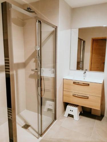 une salle de bain avec douche et lavabo dans l'établissement Bel appartement 3 pièces, 62 m2, 2 à 6 personnes, très calme, aux Gets