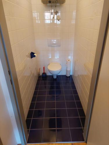 a small bathroom with a toilet and a tiled floor at Cool Flat at Renaissance Castle - 3BR in Ilz