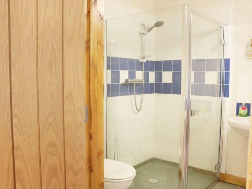 a bathroom with a shower and a toilet at Woodside Cottage in Newtown