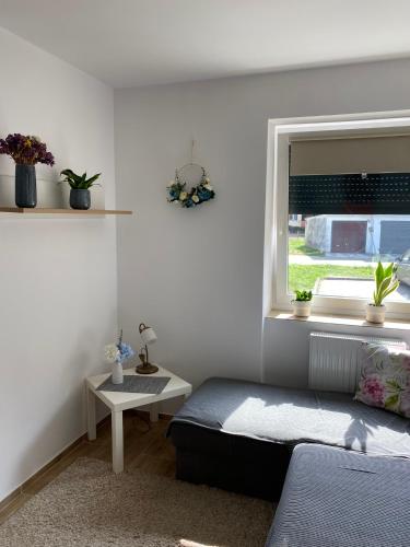 a living room with a bed and a window at Pokoje przy Tamie in Włocławek