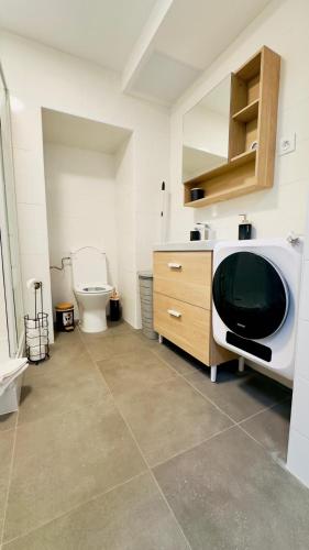 La salle de bains est pourvue de toilettes et d'une télévision sur un comptoir. dans l'établissement Appartement Cosy à Reminiac, à Réminiac