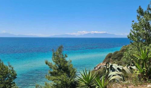 a view of the ocean from a hill with trees at Seahorse rural villa in Nea Kalikratia