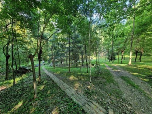 a dirt road in a park with trees at PENSIUNEA STEFANIA in Brebu Mînăstirei