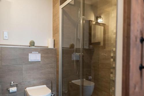 a bathroom with a toilet and a glass shower at Gruppenhaus Haus BerchStein in Winterberg
