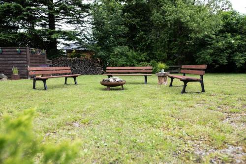 three park benches sitting in a field with a fire pit at Gruppenhaus Haus BerchStein in Winterberg