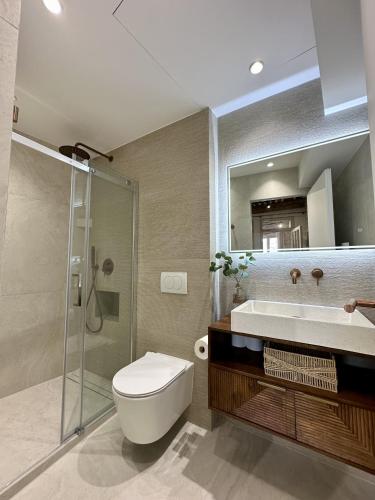 une salle de bain avec toilettes, lavabo et douche dans l'établissement New Charming Apartment Old Town, à Antibes