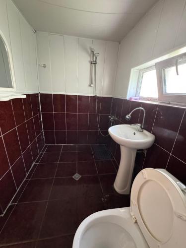a bathroom with a toilet and a sink at Zindisi Forest Haven Retreat in Surami in Surami