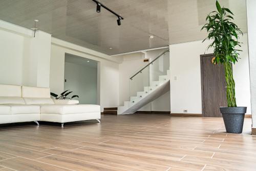 a living room with a white couch and a potted plant at Home 333 Habitacion 331 in Escazu