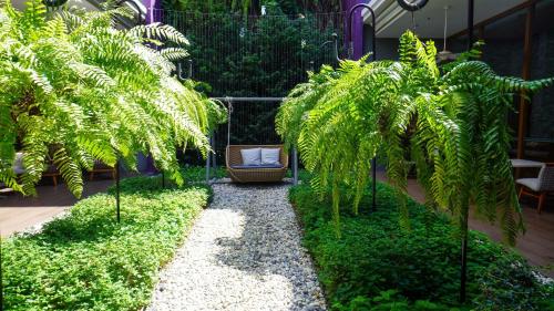 a garden with a bench and palm trees at Holiday Inn Express Phuket Patong Beach Central by IHG in Patong Beach