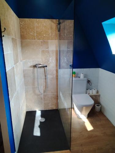 a bathroom with a shower with a toilet and a blue ceiling at L'Orangerie in Idron