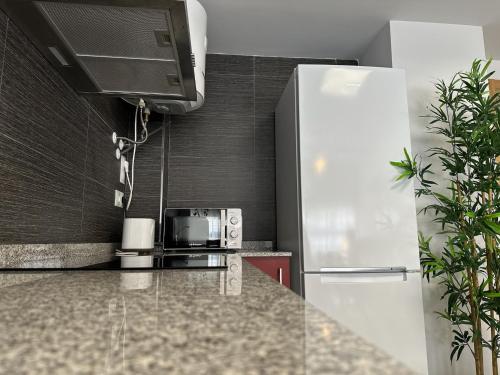 a kitchen with a counter and a refrigerator at Apartamentos Vernia 4-15 in Xàtiva