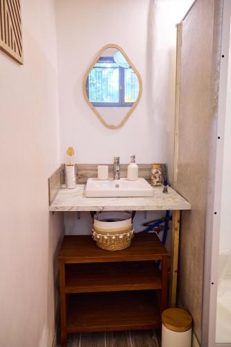 une salle de bain avec un lavabo et un miroir dans l'établissement Isaiah House cosy Garden, à Deuil-la-Barre