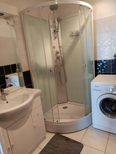 une salle de bain avec douche et lavabo et une machine à laver dans l'établissement Bellevue, à La Tour-dʼAuvergne