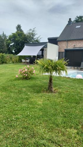 Ein Garten an der Unterkunft Trees Fontain