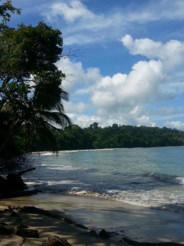 a view of a beach with trees and water at Mar Verde Lodge in Puerto Viejo