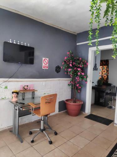 Una televisión o centro de entretenimiento en Lofts Tepic