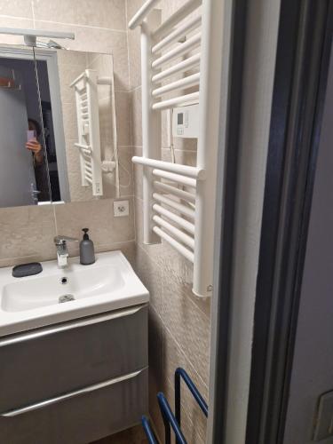 une salle de bain avec un lavabo et un miroir dans l'établissement Appartement T2, à Sorgues