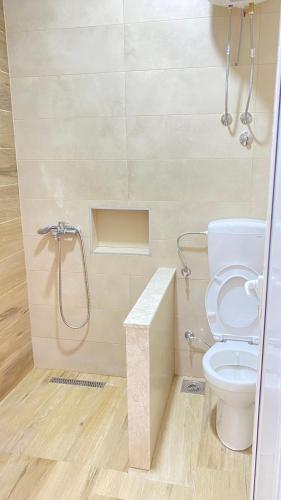 a bathroom with a toilet and a shower at Apartments Drini in Ulcinj
