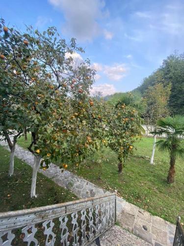 Zahrada ubytování Rancho Kursebi