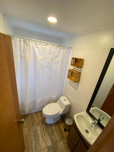a small bathroom with a toilet and a sink at Cabañas El jardín de Jacinta in Coihaique