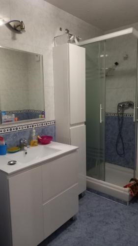 a bathroom with a shower and a white sink and a shower at La Viña in Zamora