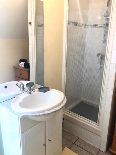 une salle de bain avec un lavabo et une douche dans l'établissement Studio autonome terrasse privée, à Tourcoing