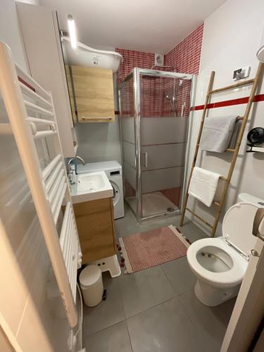 une petite salle de bain avec toilettes et douche dans l'établissement Appartement avec chambre, terrasse et jardinet proche plage, forêt pins, piste cyclable, lac, à Mimizan