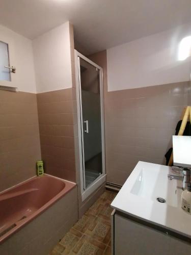 Salle de bains dans l'établissement Ô pilotis Appartement avec terrasse et jardin