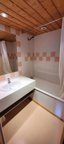 une salle de bain avec un lavabo et un miroir dans l'établissement Résidence Zenith - Studio pour 4 Personnes 104, à Aime La Plagne