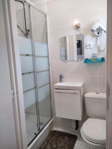 a bathroom with a shower and a toilet and a sink at Résidence des canaris in Toulouse