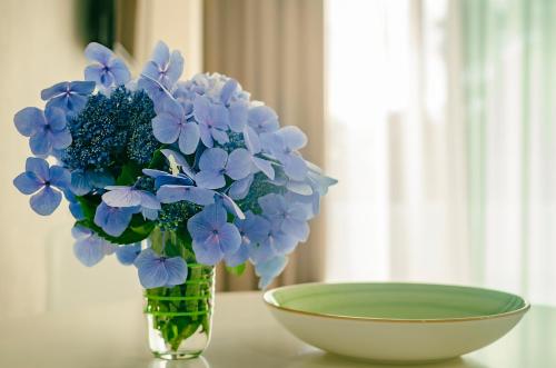 a vase filled with blue flowers next to a bowl at Green Line in Mtsvane Kontskhi