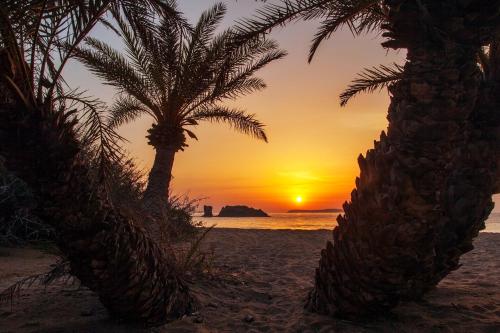 a sunset on the beach with palm trees at Minos Apartments & Studios in Sitia
