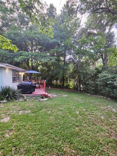 a backyard with a deck with a table and an umbrella at Midtown Marvel Reinvented with Contemporary Charm in Gainesville