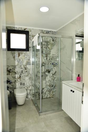 a bathroom with a shower and a toilet at Villa Sarisli 2 in Ortaca