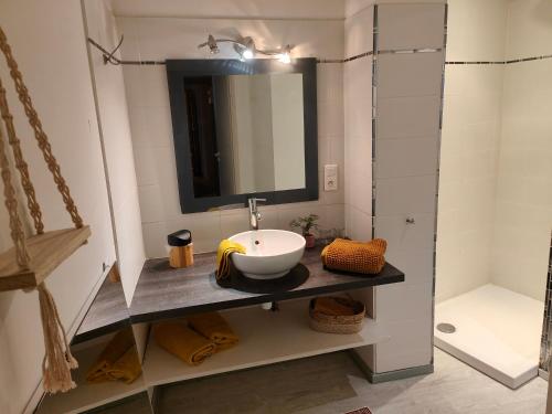 une salle de bain avec un lavabo et une douche dans l'établissement Le nid du prince, à Aurillac