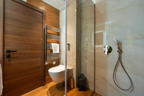 a bathroom with a toilet and a shower at Hotel De‘Andros Virpazar in Virpazar