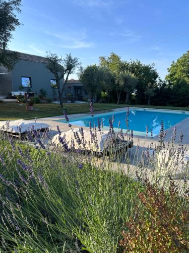 a large swimming pool with people in it at Borghetto Sant’Angelo in Soriano nel Cimino
