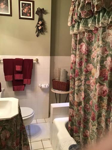 a bathroom with a shower curtain and a toilet at Brookview Manor Inn in Canadensis