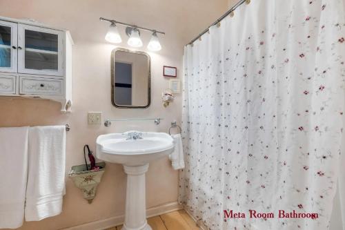 a bathroom with a sink and a shower curtain at Wainwright Inn in Great Barrington
