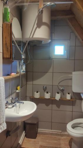 a bathroom with a sink and a toilet at Vikendica Gradačka Poljana in Šavnik