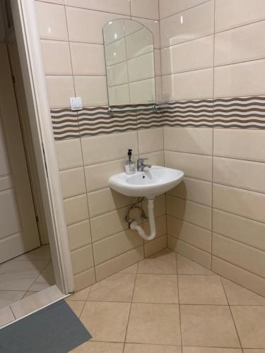 a bathroom with a sink and a mirror at Apartments Nurkovic in Dobra Voda