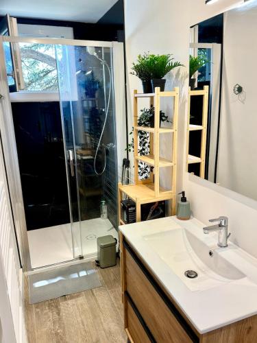 une salle de bain avec une douche et un lavabo et un lavabo dans l'établissement Evasion dépaysante Canal du Midi La vie en couleur, à Castelnaudary