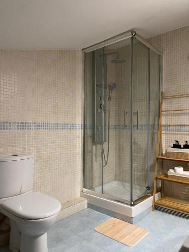 a bathroom with a shower and a toilet at DUPLEX LUMINOSO Y TRANQUILo in El Pont de Vilumara
