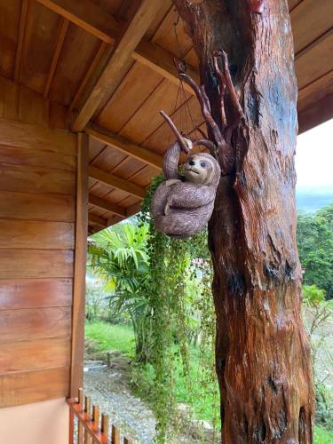 a monkey hanging from the side of a tree at Cabaña ITZE in Fortuna