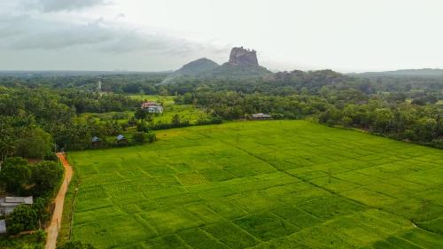 an aerial view of a green field with a mountain in the background at Nice View Lodge in Sigiriya