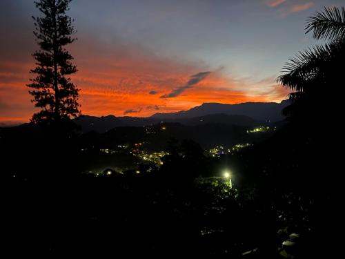 a sunset over a city with a palm tree at Palmeras del Mirador - Hotel Boutique Campestre en La Vega a 1h de Bogotá in La Vega