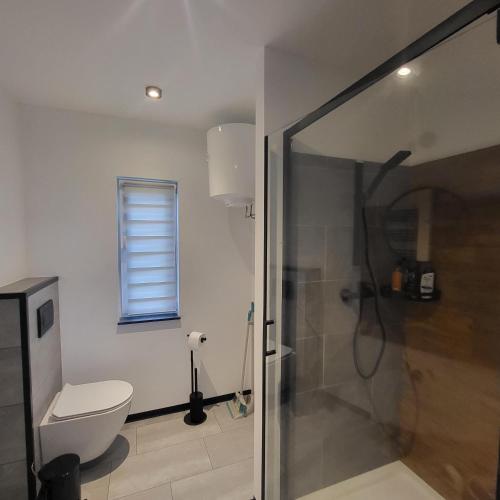 a bathroom with a toilet and a glass shower stall at Baltic Barns Berg in Wytowno