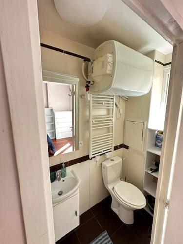 une petite salle de bain avec toilettes et lavabo dans l'établissement Superbe appartement terrasse, à Paris