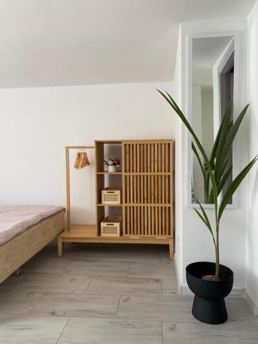 Apartamenty Kwiat Jabłoni